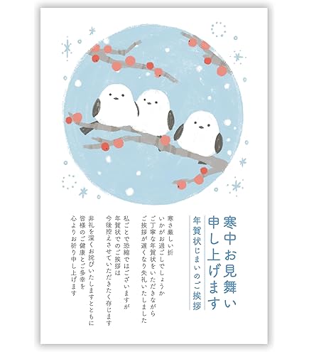 Amazon | 年賀状じまいハガキ 寒中見舞い 10枚 私製はがき アルファ